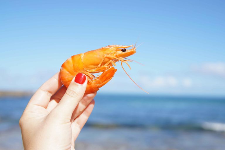 What Fish Can Live With Shrimp?